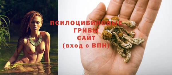 ГАЛЛЮЦИНОГЕННЫЕ ГРИБЫ Балабаново