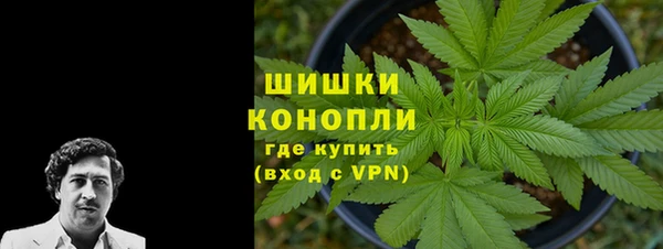 ГАЛЛЮЦИНОГЕННЫЕ ГРИБЫ Балабаново