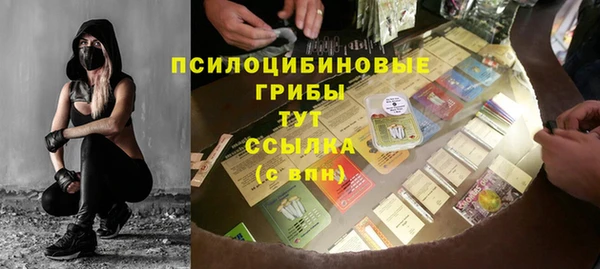 ГАЛЛЮЦИНОГЕННЫЕ ГРИБЫ Балабаново